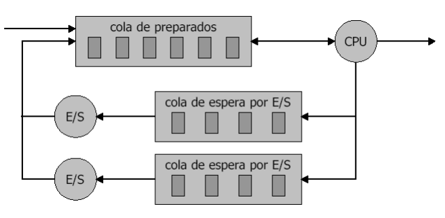 colaprocesos